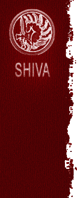 Ki, Shiva