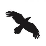 Windy Raven Knifeworks