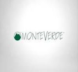 Monteverde Pens USA