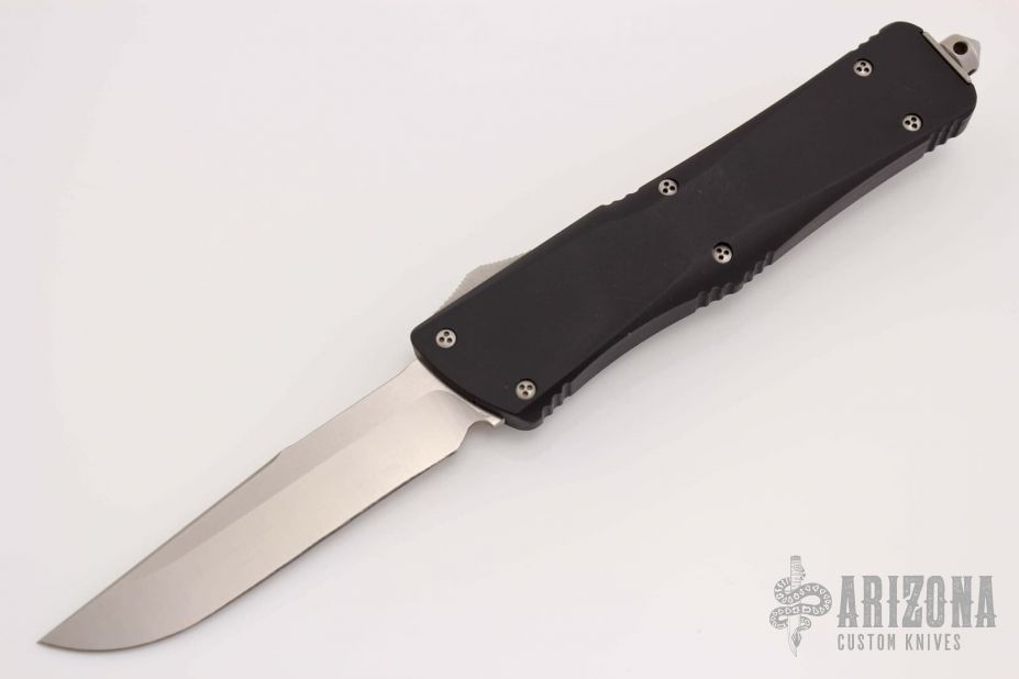 139-4 Troodon S/E Satin Standard - 07/06 #00273