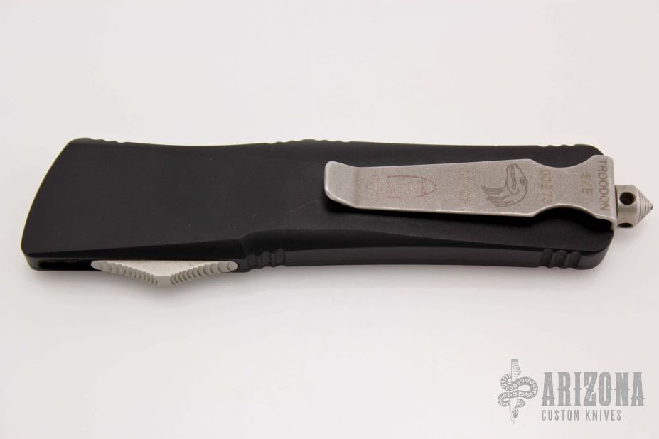 139-4 Troodon S/E Satin Standard - 07/06 #00273