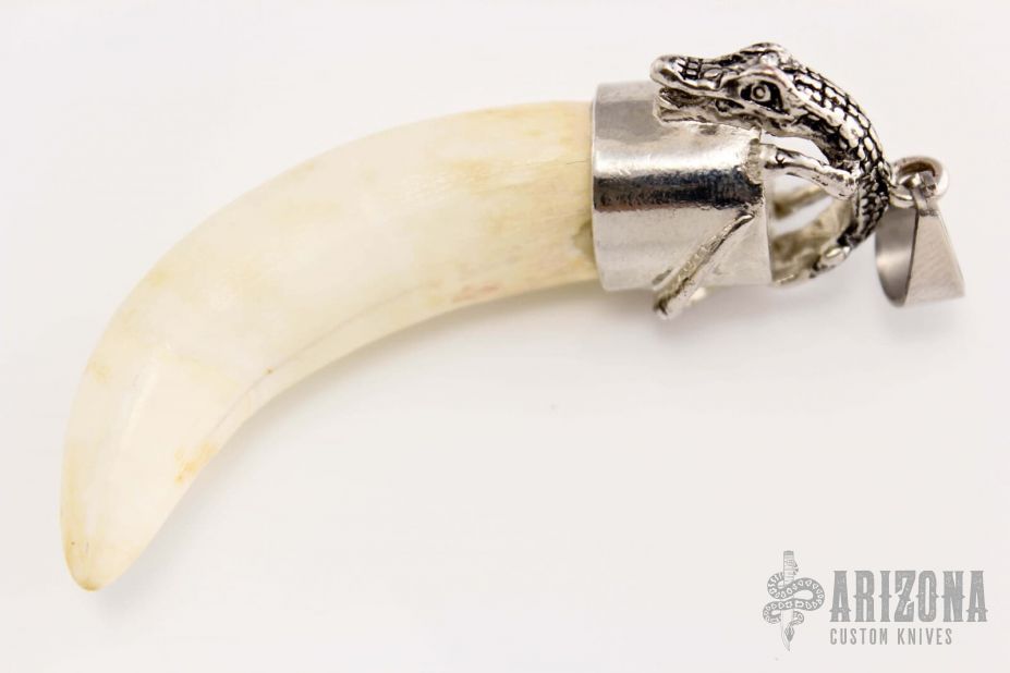 Alligator Tooth Pendant | Arizona Custom Knives