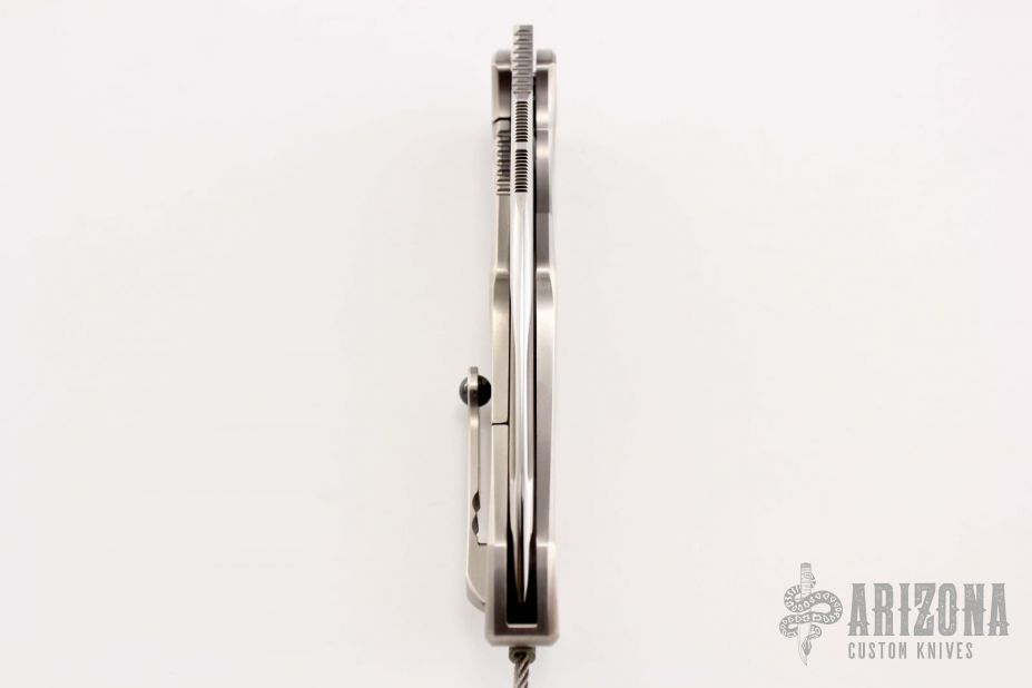 ANAX Mirror Polish w/ Abalone Inlays