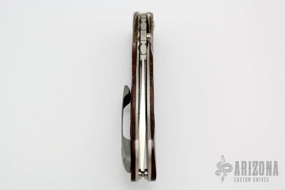 Gordian Knot - Bronze and Ironwood