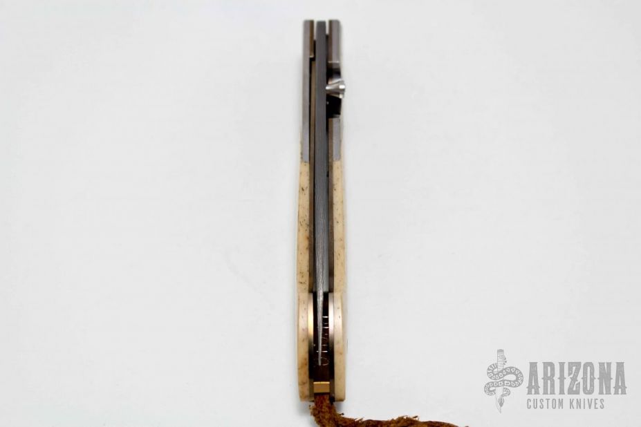 Maltese - T10 - Prototype