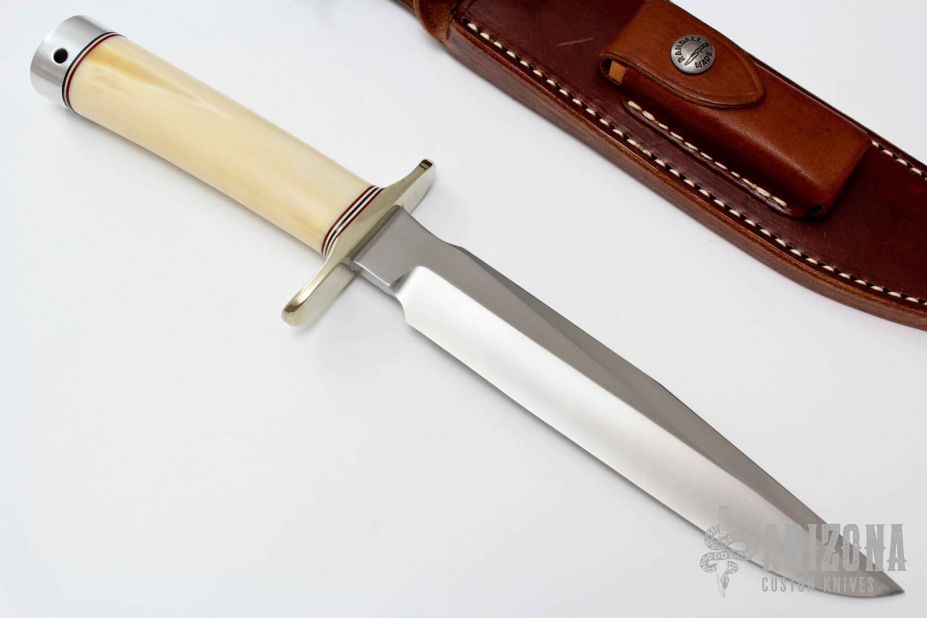 Model 1-7 - Fossil Walrus Ivory