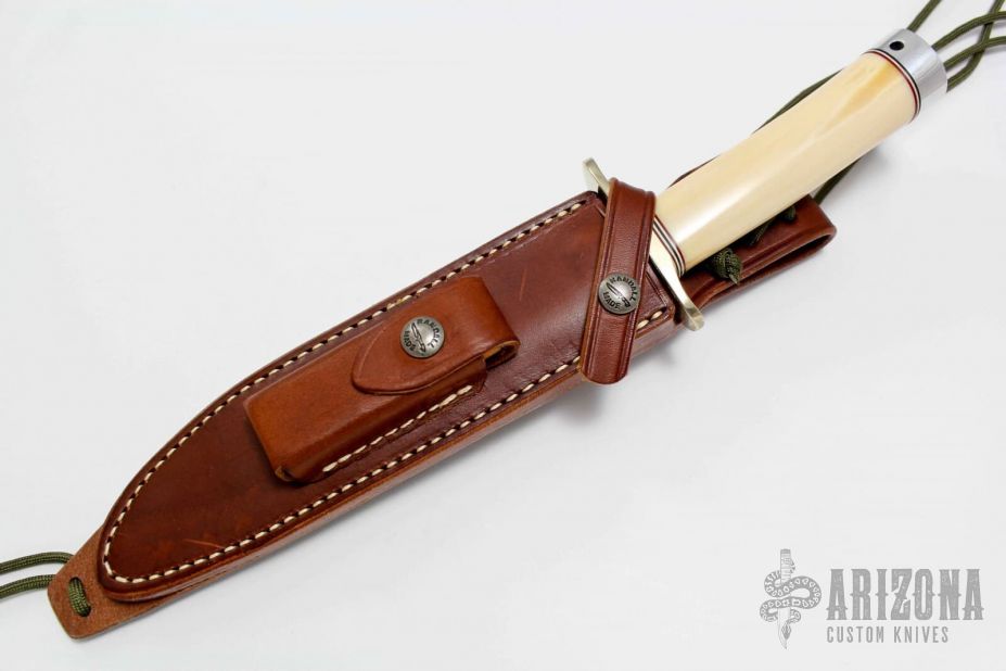 Model 1-7 - Fossil Walrus Ivory