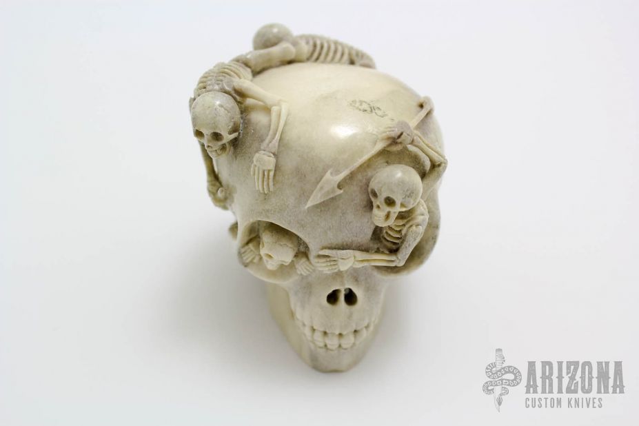 Skulls and Skeletons - Moose Horn