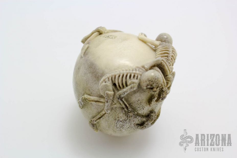 Skulls and Skeletons - Moose Horn