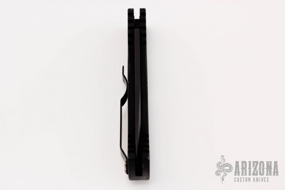 TR-1 Shaw Skull Prototype