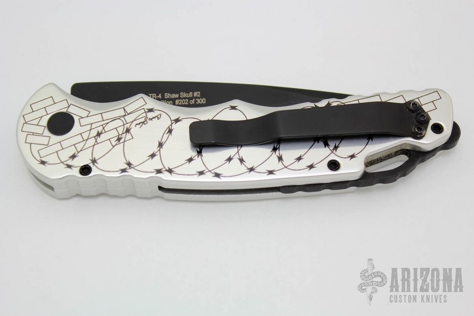 TR-4 Shaw Skull #2 Limited Edition #202 of 300