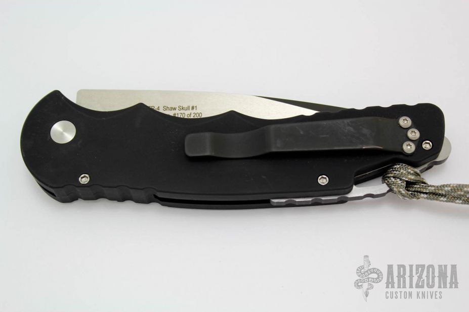 TR-4 Skull #1 Limited Edition #170 of 200