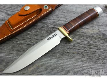Model 5 6