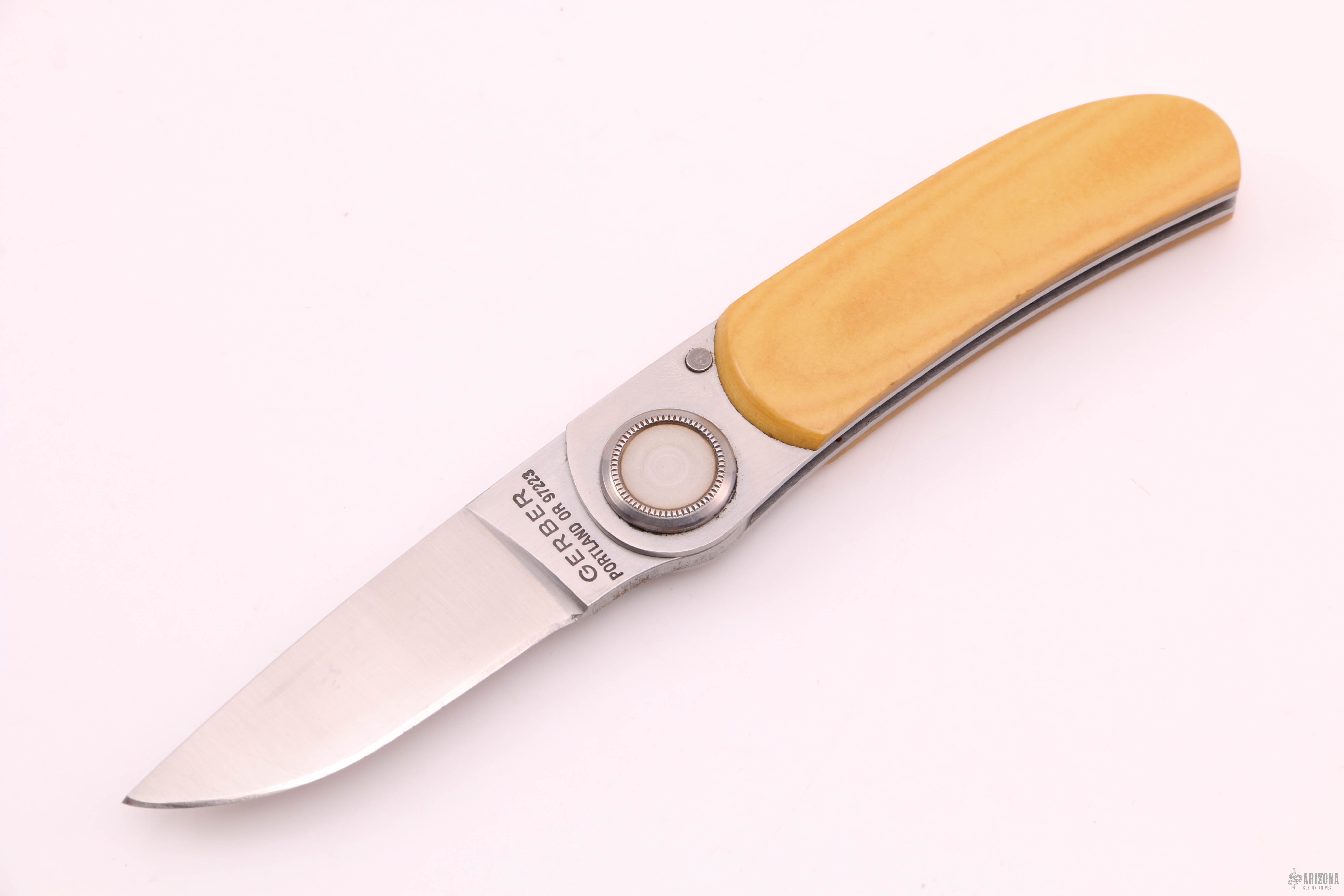 Paul Knife Model 2PM Arizona Custom Knives