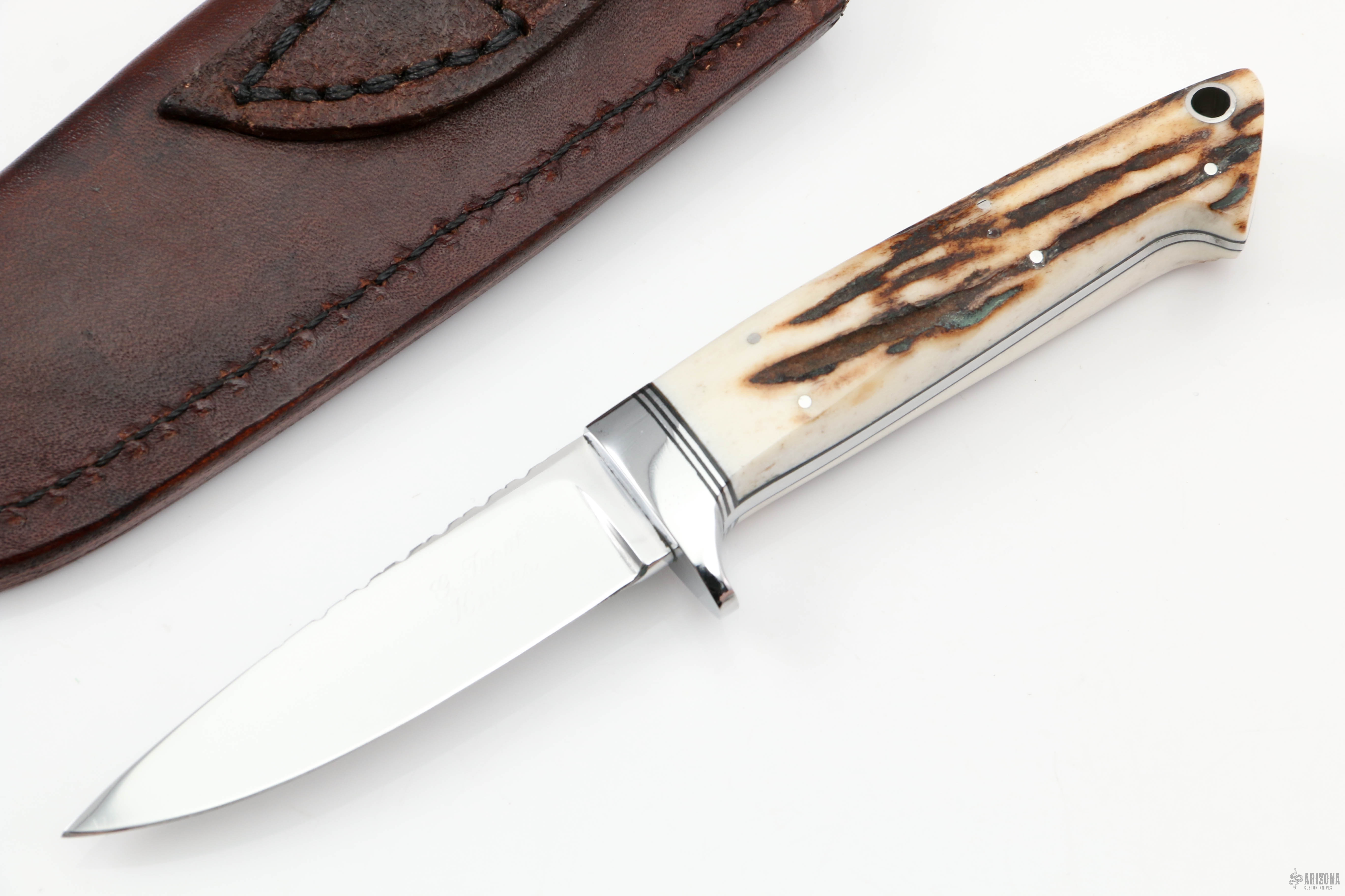 Small Drop Point - Stag | Arizona Custom Knives