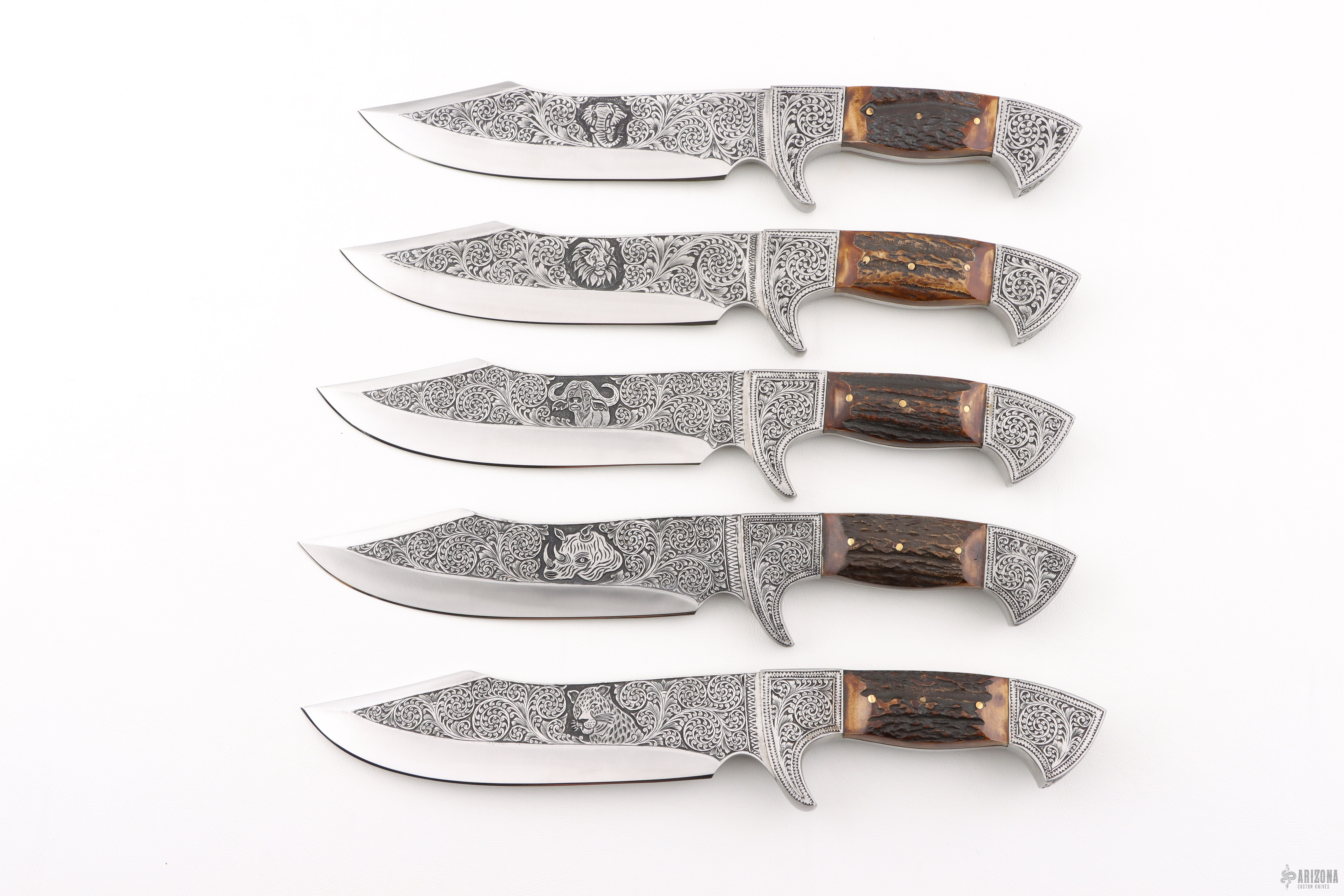 ＊サファリ　オーダーページ＊ African Safari Set of 5 Knives - Arizona Custom Knives