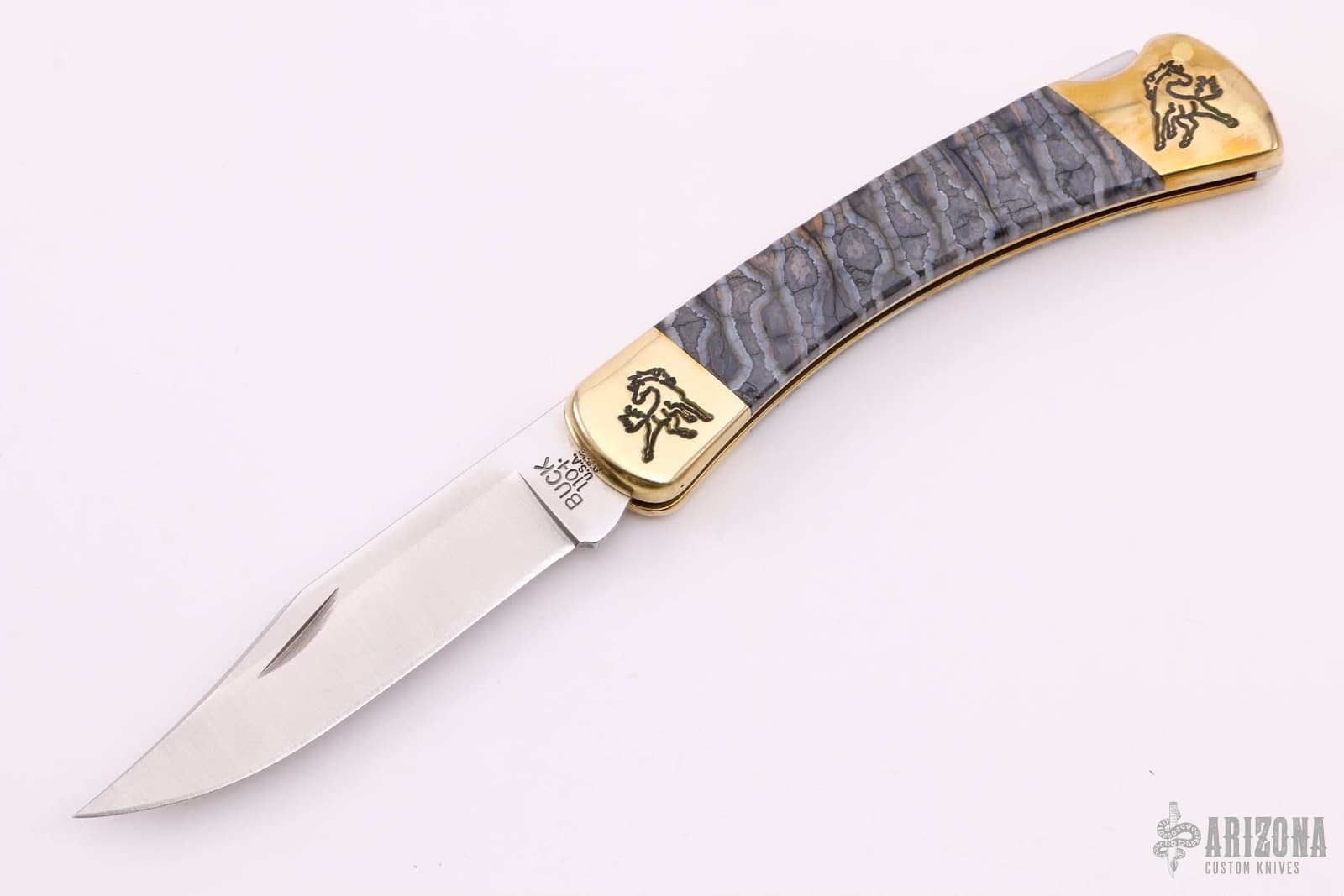 Buck 110 - Mammoth Tooth - Arizona Custom Knives