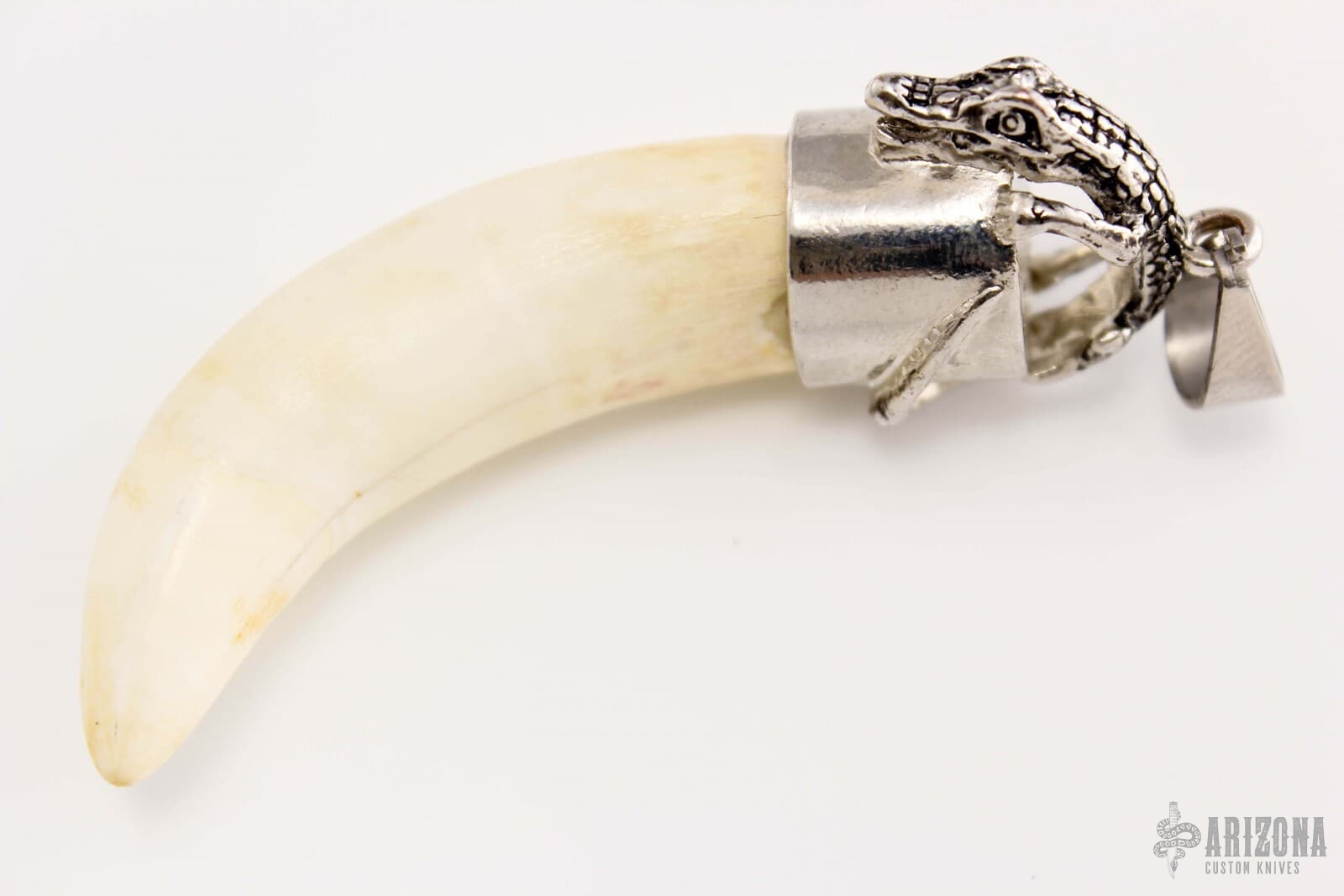 Alligator Tooth Pendant | Arizona Custom Knives