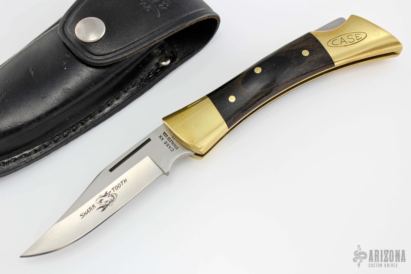 Shark Tooth Fixed Blade Knife with Leather Sheath