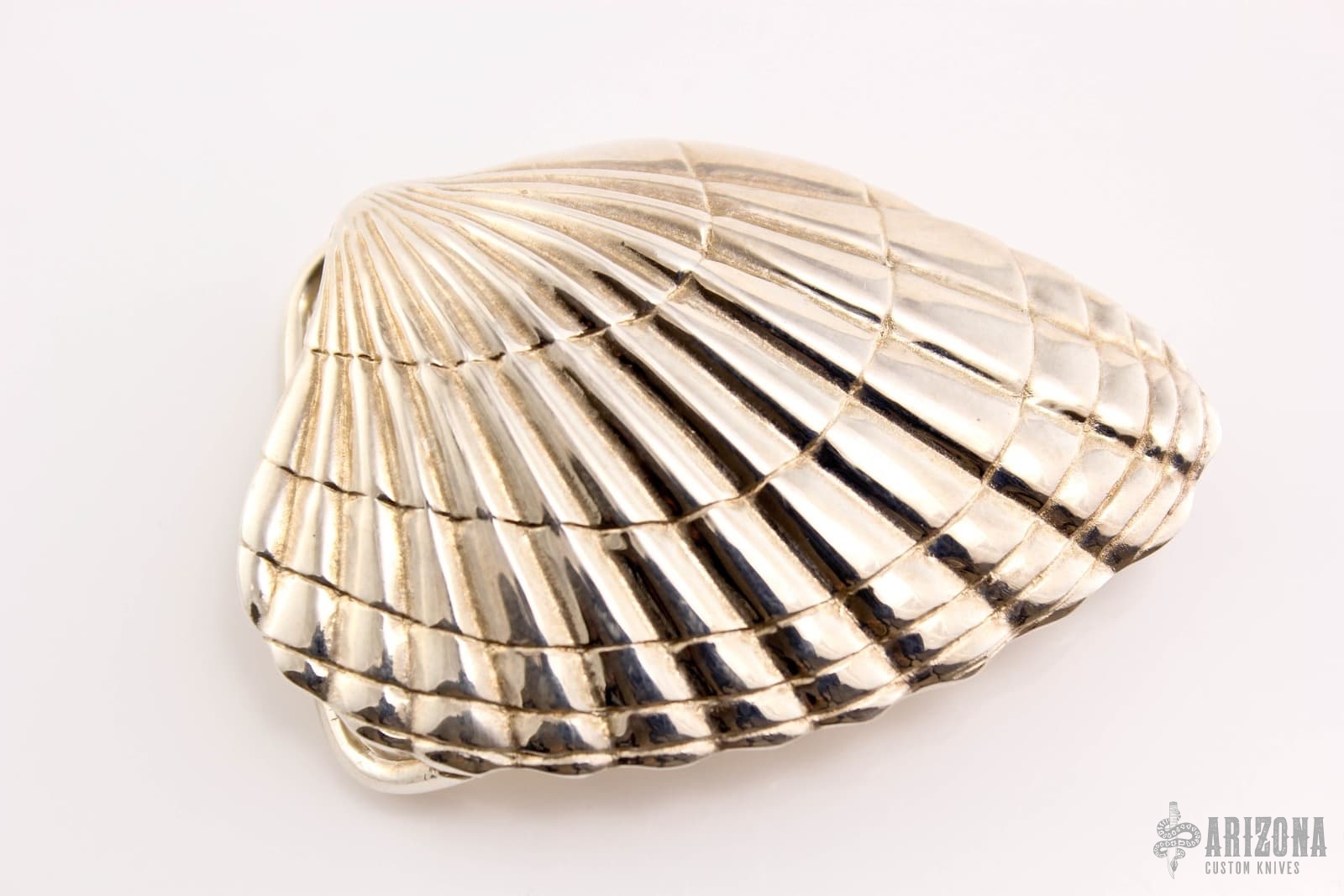 Shell Belt Buckle - Silver - Arizona Custom Knives