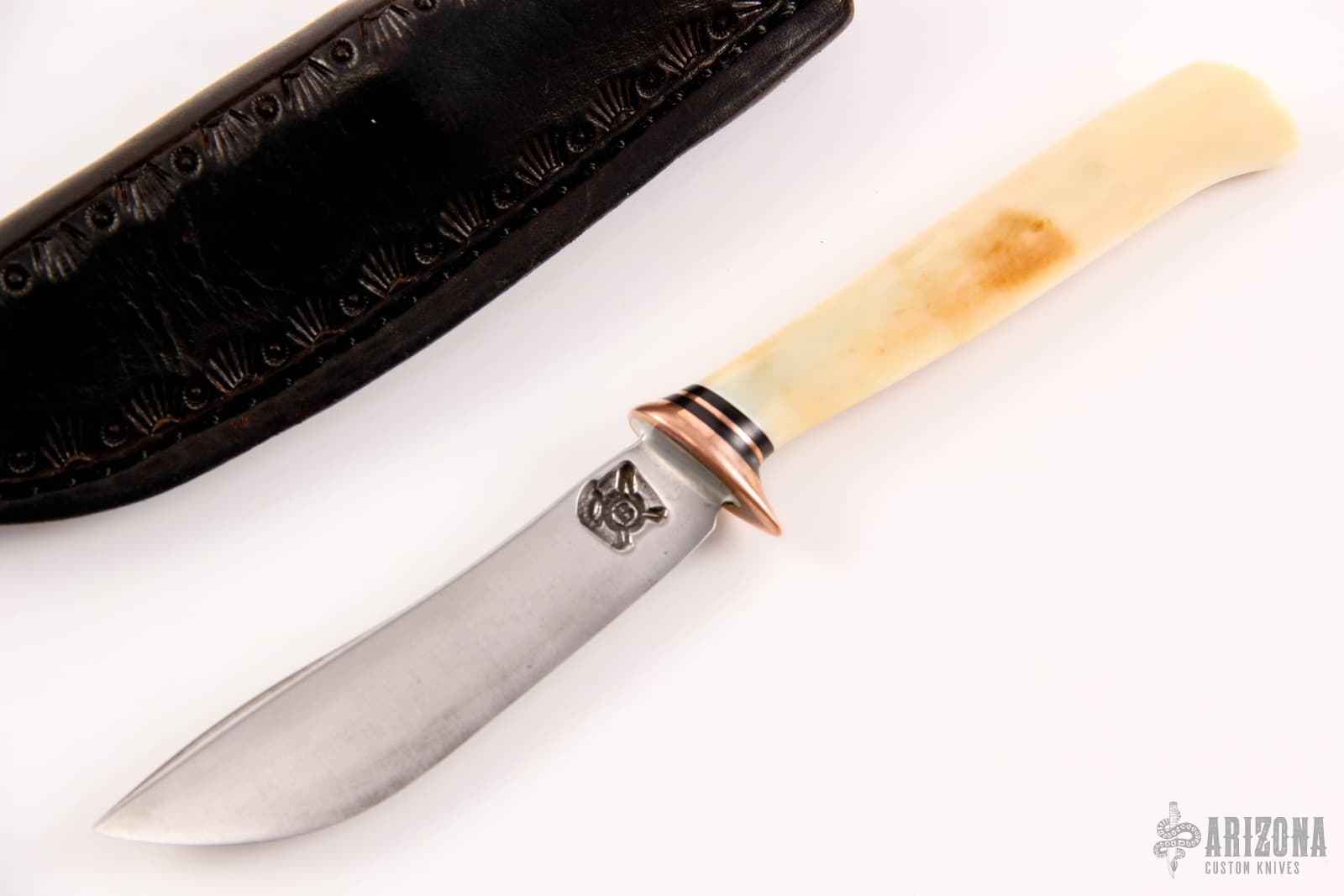 Pocket Knife Fossil Walrus Ivory Arizona Custom Knives