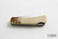 Customized Case Executive Lockback w/ Scrimshaw