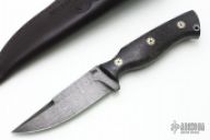 #0615-Voykar Compact