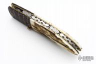 Damascus Liner Lock Folder