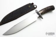 Sambar Stag Bowie