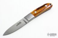 Stag Fixed Blade