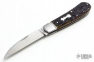 TB Tribute Swayback Gent-B