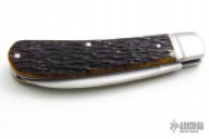 TB Tribute Swayback Gent-B