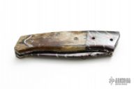 Mammoth Ivory Folder