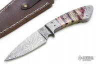 Damascus & Mammoth Tooth Drop Point