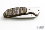 Mammoth Tooth Tanto Folder