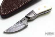 Mini Damascus Fixed Blade
