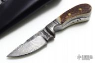 Mini Damascus Fixed Blade