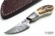 Mini Damascus Fixed Blade