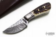 Mini Damascus Fixed Blade