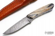 Damascus Large Drop Point