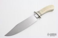 Walrus Ivory Bowie