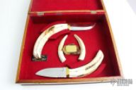 Warthog Tusks Trophy Set