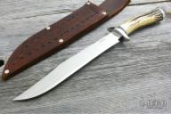 Stag Recurve Bowie