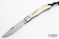 Mammoth Ivory Slip Joint