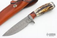 357-40 Stag & Damascus Drop Point