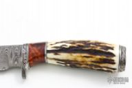 357-40 Stag & Damascus Drop Point