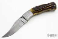 Damascus and Stag Lockback