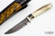 Damascus & Stag Hunter