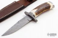 Clip Point Stag  Hunter