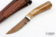 Damascus & Oosik Hunter